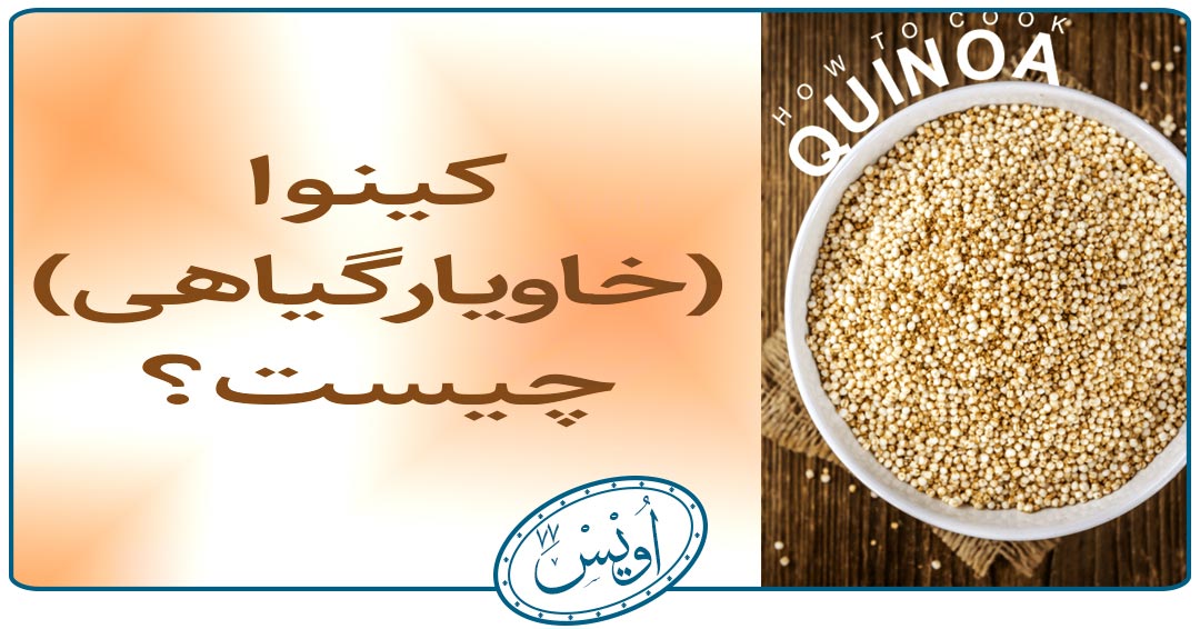 کینوا چیست؟ کینوا چیست؟