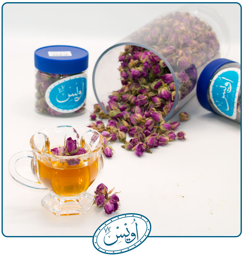 غنچه گل محمدی