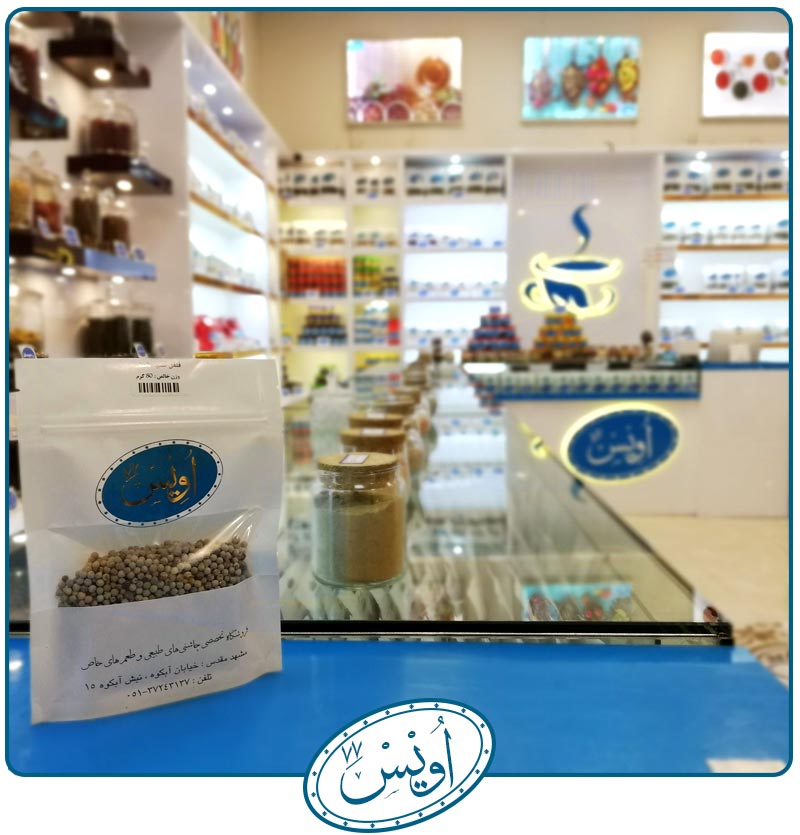 دان فلفل سفید