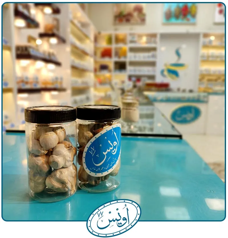 سیر سیاه
